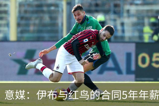 意媒：伊布与红鸟的合同5年年薪100万欧，职责除了竞技还涉及商业