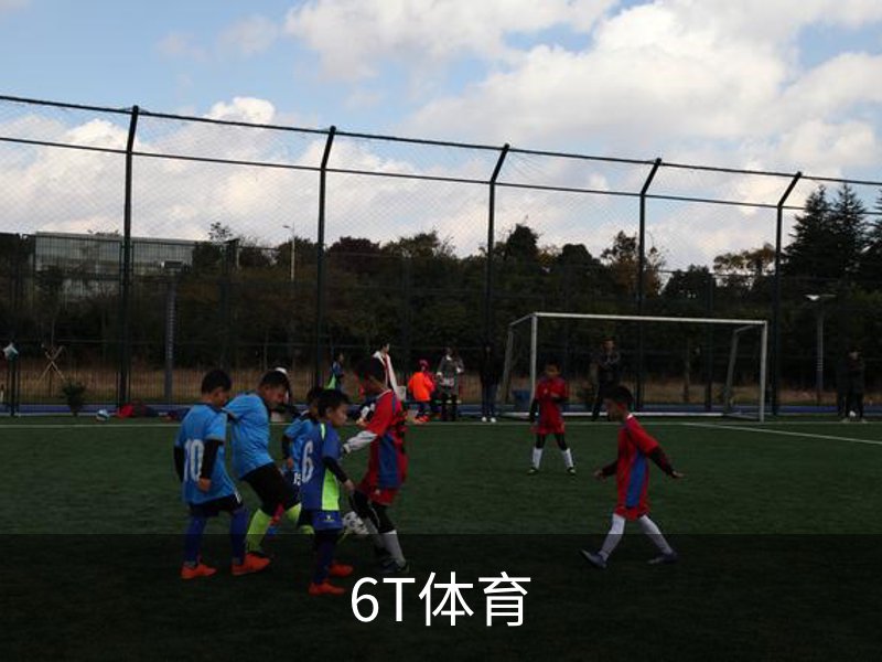 6T体育简介